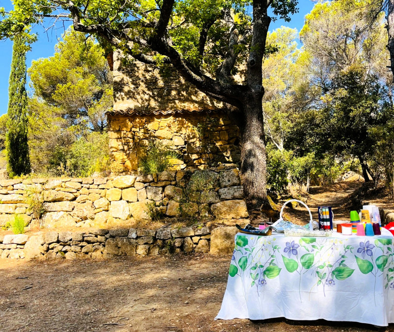 Un matin avec Cezanne à Bibémus